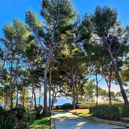 Superbe Appartement Dans Cadre D'Exception - Piscine, Plage Et Tennis Prive Bandol Zewnętrze zdjęcie