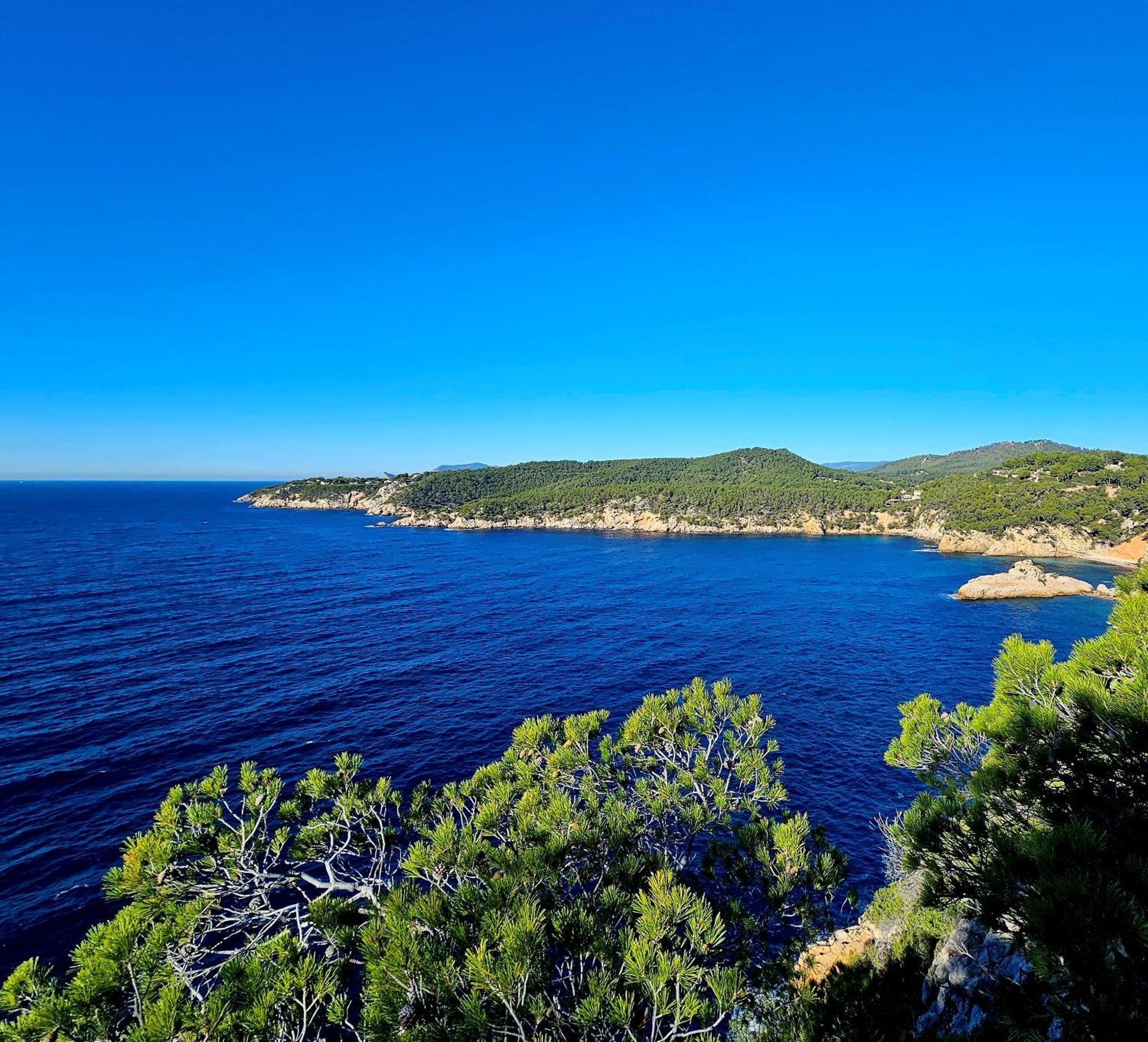 Superbe Appartement Dans Cadre D'Exception - Piscine, Plage Et Tennis Prive Bandol Zewnętrze zdjęcie