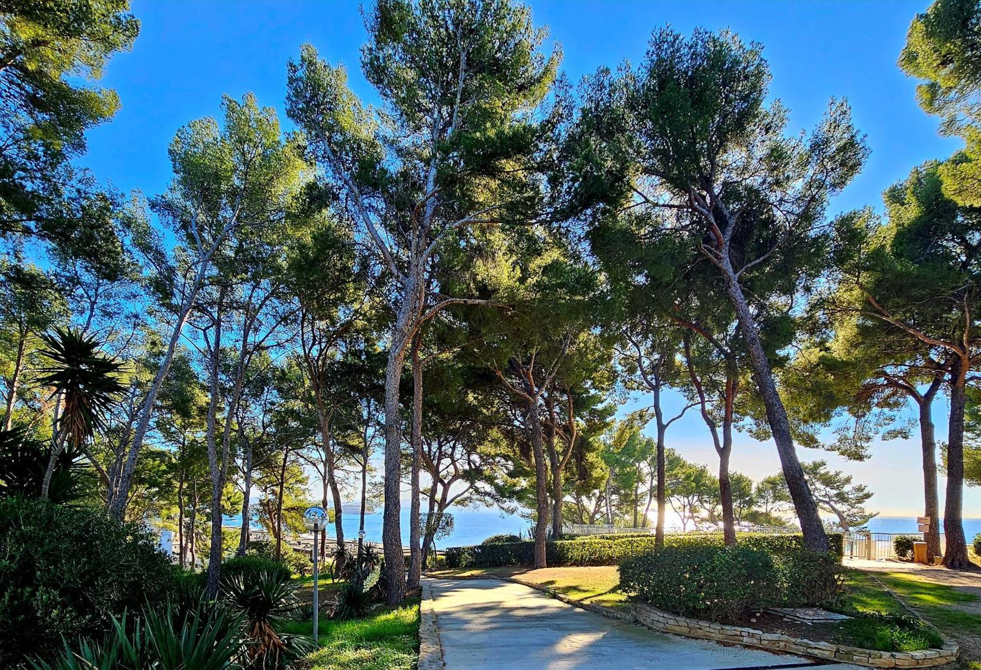 Superbe Appartement Dans Cadre D'Exception - Piscine, Plage Et Tennis Prive Bandol Zewnętrze zdjęcie